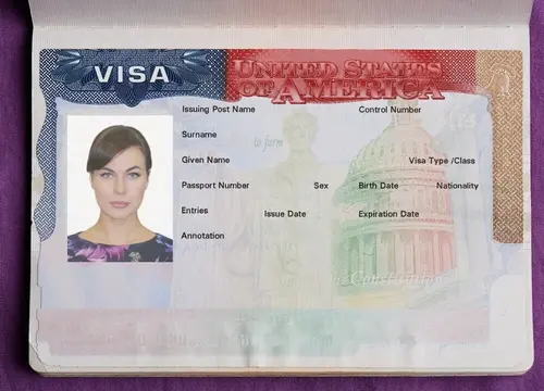 USA Visa Photo App: Lag US Visa Photo At Home