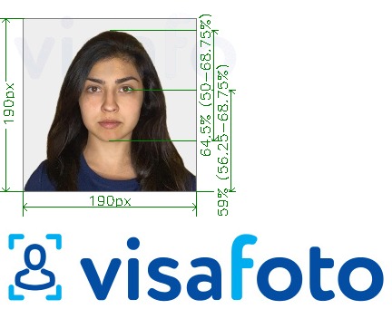 ფოტოს მაგალითი ინდოეთი Visa 190x190 px მეშვეობით VFSglobal.com -სთვის ზუსტი ზომის სპეციფიკაციით